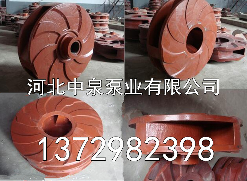 澳门精准6肖